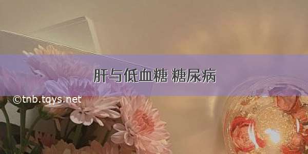 肝与低血糖 糖尿病