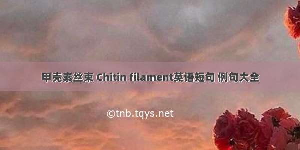 甲壳素丝束 Chitin filament英语短句 例句大全