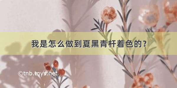 我是怎么做到夏黑青杆着色的？