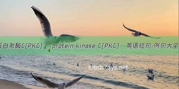 蛋白激酶C(PKC)α protein kinase C(PKC)α英语短句 例句大全