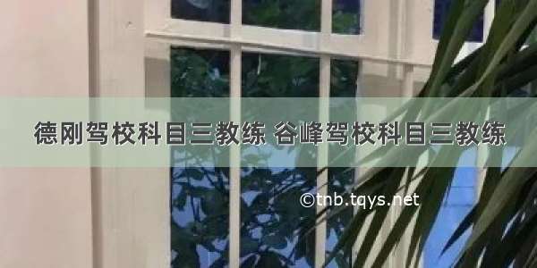 德刚驾校科目三教练 谷峰驾校科目三教练