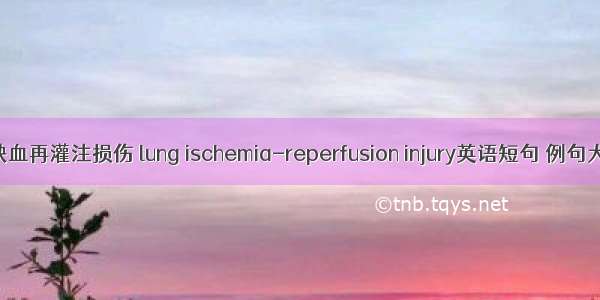 肺缺血再灌注损伤 lung ischemia-reperfusion injury英语短句 例句大全