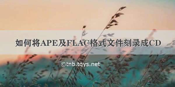 如何将APE及FLAC格式文件刻录成CD