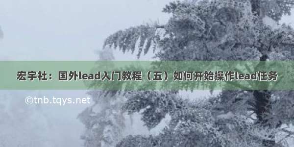 宏宇社：国外lead入门教程（五）如何开始操作lead任务