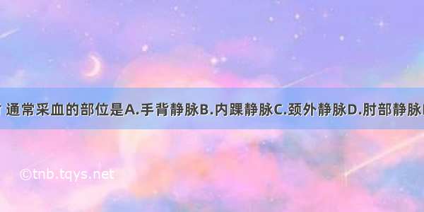 成人静脉采血时 通常采血的部位是A.手背静脉B.内踝静脉C.颈外静脉D.肘部静脉E.股静脉ABCDE