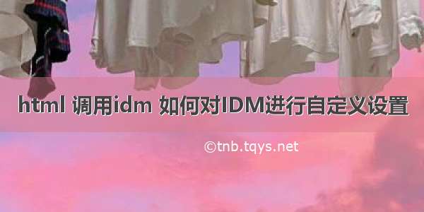 html 调用idm 如何对IDM进行自定义设置