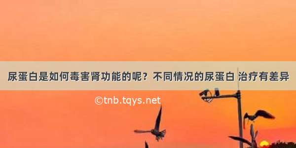 尿蛋白是如何毒害肾功能的呢？不同情况的尿蛋白 治疗有差异