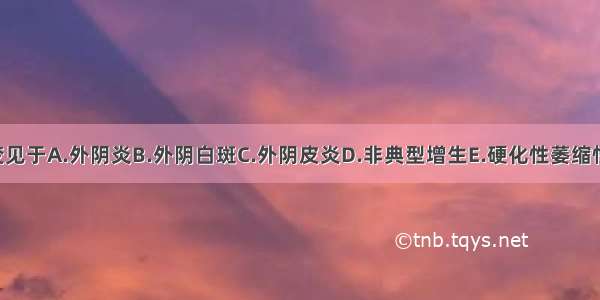 外阴白色病变见于A.外阴炎B.外阴白斑C.外阴皮炎D.非典型增生E.硬化性萎缩性苔癣ABCDE