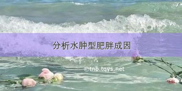 分析水肿型肥胖成因