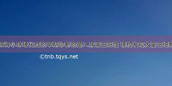 有助于糖尿病肾小球硬化症的早期诊断的是A.尿蛋白阳性 镜检发现大量白细胞和管型B.尿