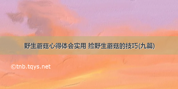 野生蘑菇心得体会实用 捡野生蘑菇的技巧(九篇)