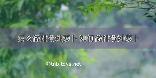 怎么做排骨炖萝卜 如何做排骨炖萝卜