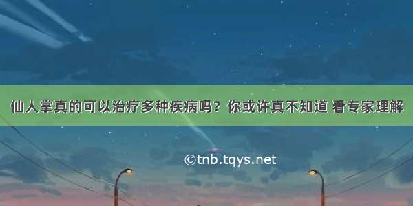 仙人掌真的可以治疗多种疾病吗？你或许真不知道 看专家理解