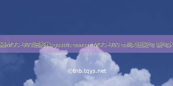 胃癌MGC-803细胞株 gastric cancer MGC-803 cell英语短句 例句大全