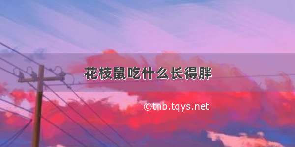 花枝鼠吃什么长得胖