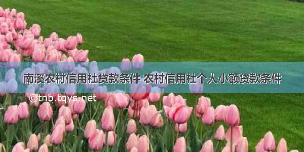 南溪农村信用社贷款条件 农村信用社个人小额贷款条件