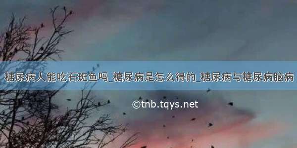 糖尿病人能吃石斑鱼吗_糖尿病是怎么得的_糖尿病与糖尿病脑病