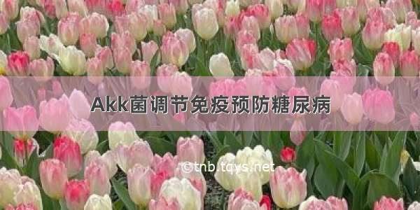 Akk菌调节免疫预防糖尿病