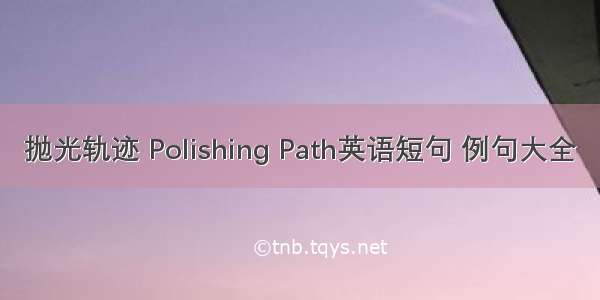 抛光轨迹 Polishing Path英语短句 例句大全