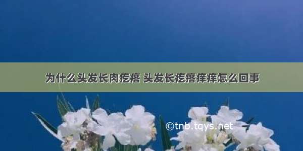 为什么头发长肉疙瘩 头发长疙瘩痒痒怎么回事