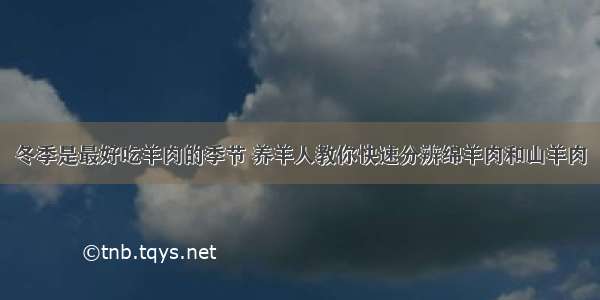 冬季是最好吃羊肉的季节 养羊人教你快速分辨绵羊肉和山羊肉