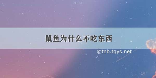 鼠鱼为什么不吃东西