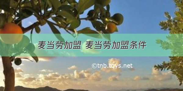 麦当劳加盟 麦当劳加盟条件