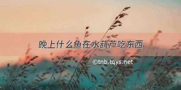 晚上什么鱼在水葫芦吃东西