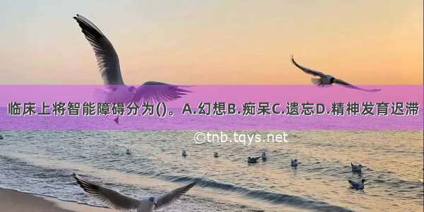 临床上将智能障碍分为()。A.幻想B.痴呆C.遗忘D.精神发育迟滞