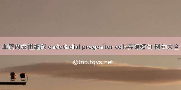 血管内皮祖细胞 endothelial progenitor cells英语短句 例句大全