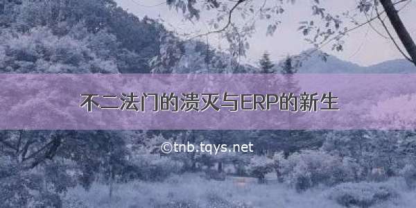 不二法门的溃灭与ERP的新生