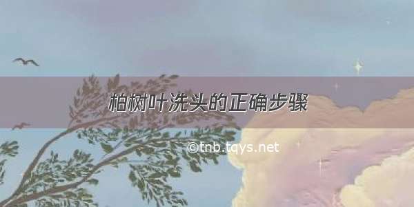 柏树叶洗头的正确步骤