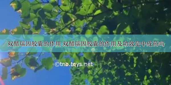 双醋瑞因胶囊的作用 双醋瑞因胶囊的作用及功效是中成药吗