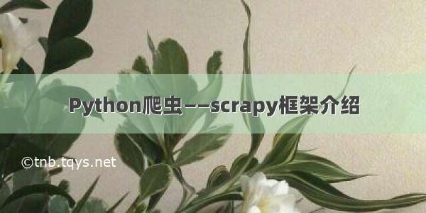 Python爬虫——scrapy框架介绍