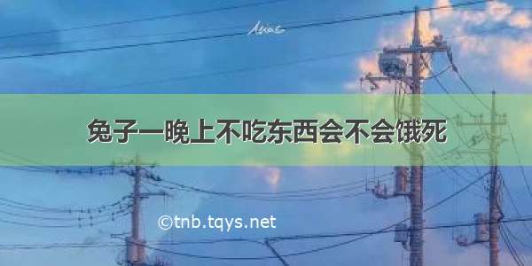 兔子一晚上不吃东西会不会饿死