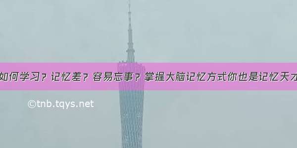 如何学习？记忆差？容易忘事？掌握大脑记忆方式你也是记忆天才