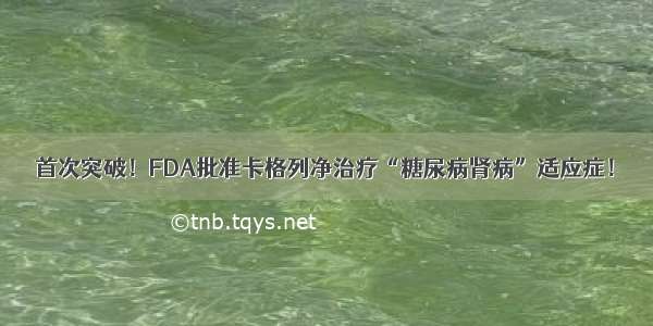 首次突破！FDA批准卡格列净治疗“糖尿病肾病”适应症！