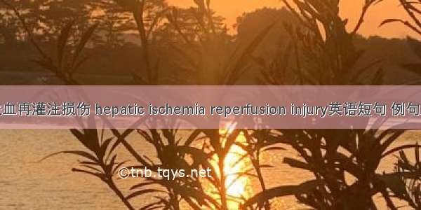 肝缺血再灌注损伤 hepatic ischemia reperfusion injury英语短句 例句大全