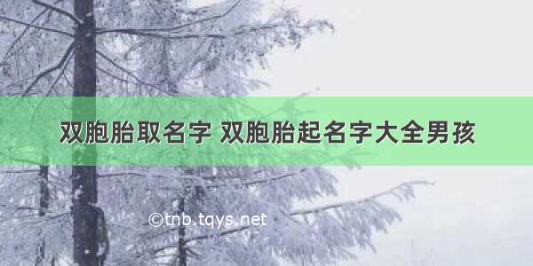 双胞胎取名字 双胞胎起名字大全男孩