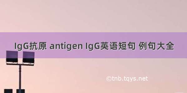 IgG抗原 antigen IgG英语短句 例句大全