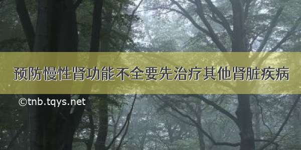 预防慢性肾功能不全要先治疗其他肾脏疾病