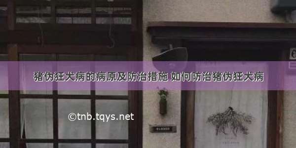 猪伪狂犬病的病原及防治措施 如何防治猪伪狂犬病