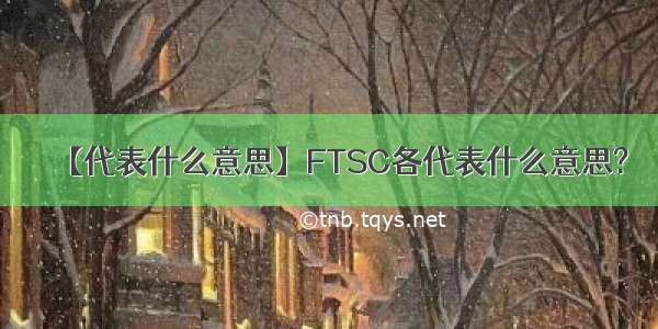 【代表什么意思】FTSC各代表什么意思?