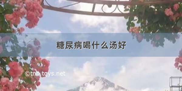 糖尿病喝什么汤好