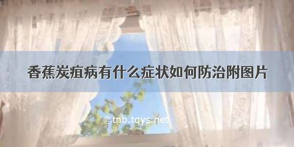 香蕉炭疽病有什么症状如何防治附图片