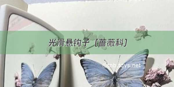 光滑悬钩子（蔷薇科）