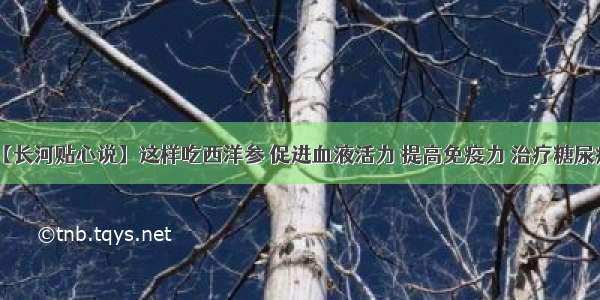 【长河贴心说】这样吃西洋参 促进血液活力 提高免疫力 治疗糖尿病！