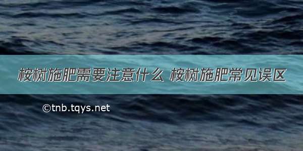 桉树施肥需要注意什么 桉树施肥常见误区