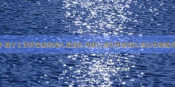 上列疾病中 属于乙类传染病的是A.鼠疫B.风疹C.流行性感冒D.流行性腮腺炎E.肺结核