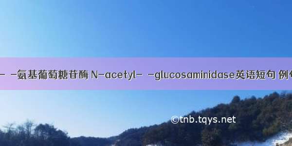 N-乙酰-β-氨基葡萄糖苷酶 N-acetyl-β-glucosaminidase英语短句 例句大全